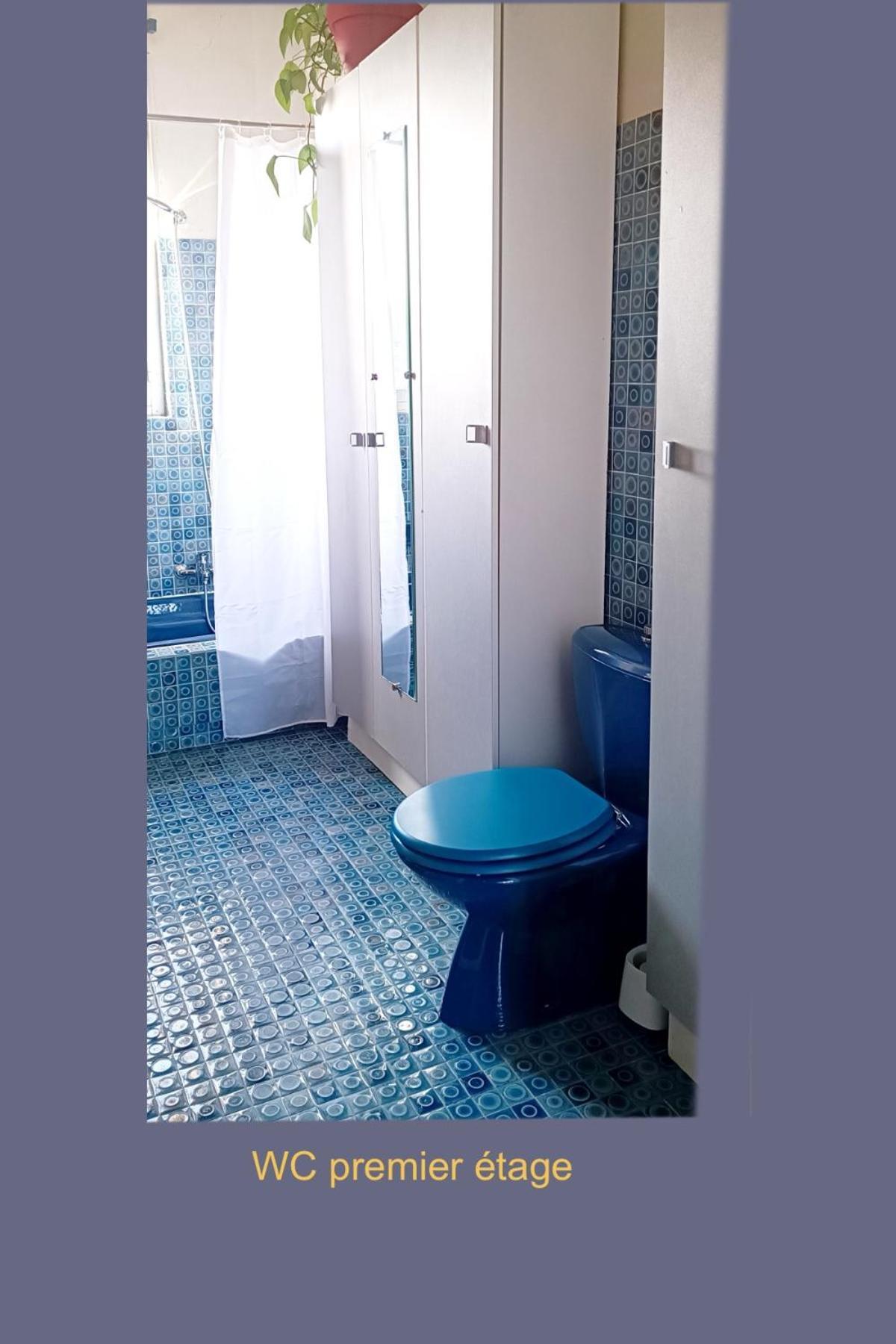 Chez Dan Et Vero - Chambre D'Hote Moissac Eksteriør billede