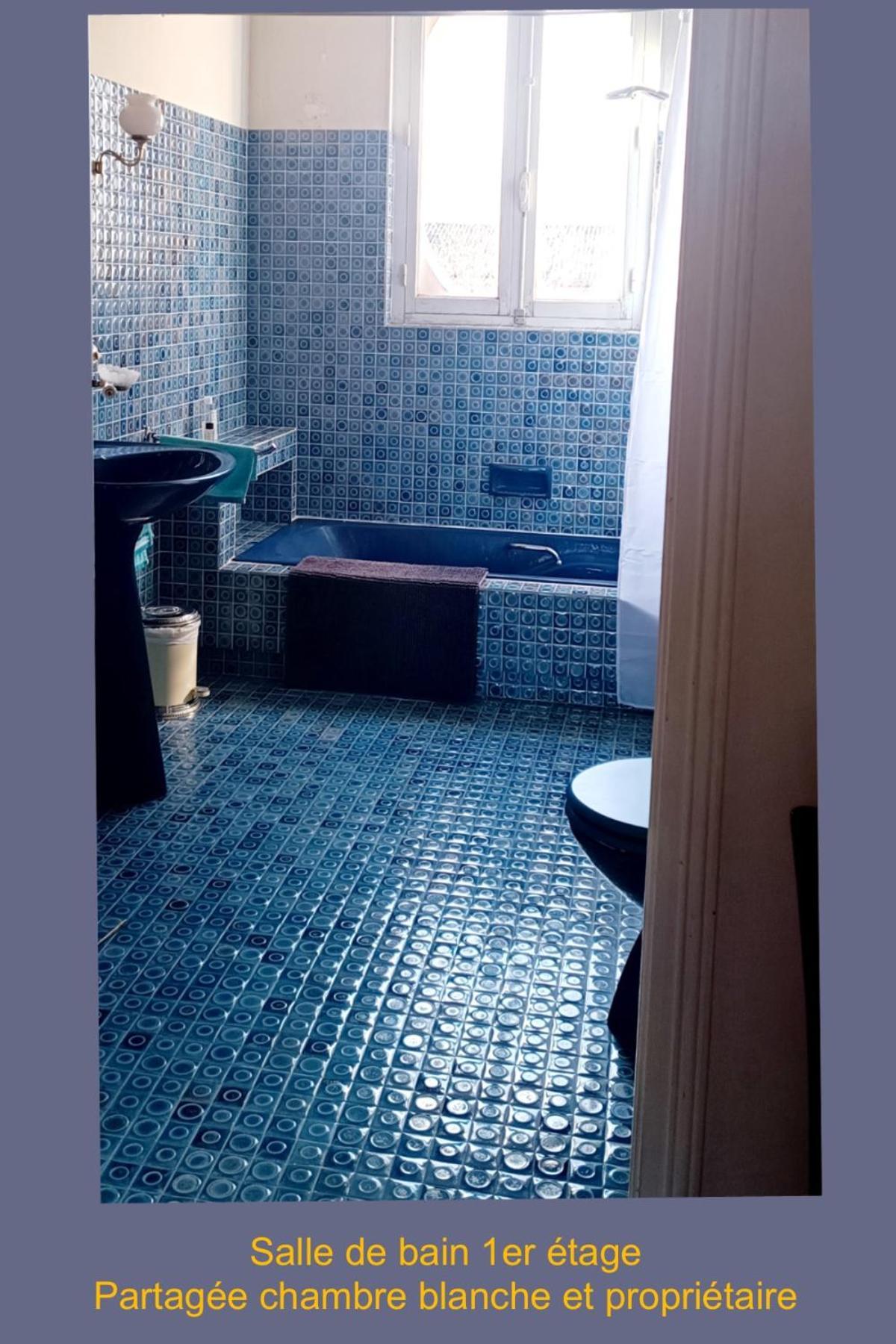 Chez Dan Et Vero - Chambre D'Hote Moissac Eksteriør billede